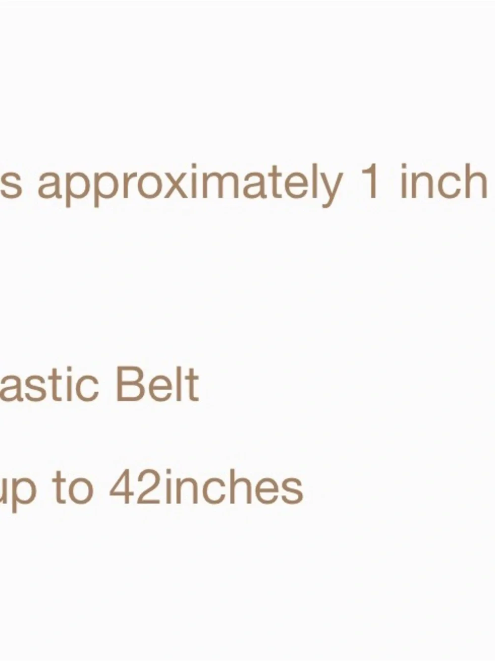 CHANEL Black  Belt with Gold Double C Logos STAINLESS STEEL NEVER TARNISH